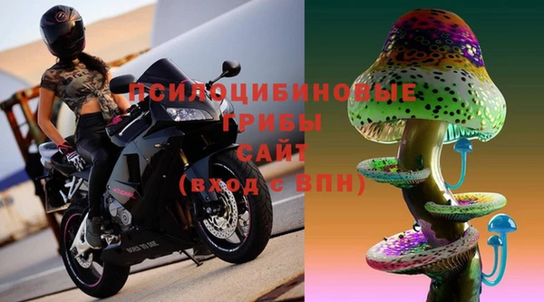а пвп мука Белокуриха