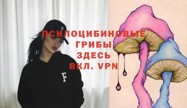 винт Беломорск