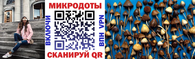 Псилоцибиновые грибы ЛСД  закладки  Пыть-Ях 